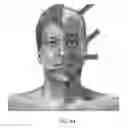 Fig. 42 - System and Method for Treating Skin and Underlying Tissues for Improved Health, Function and/or Appearance