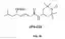 Fig. 03 - Compounds for the treatment of pathologies associated with aging and degenerative disorders