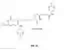 Fig. 05 - Compounds for the treatment of pathologies associated with aging and degenerative disorders