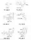 Fig. 09 - Compounds for the treatment of pathologies associated with aging and degenerative disorders