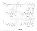Fig. 11 - Compounds for the treatment of pathologies associated with aging and degenerative disorders