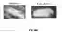 Fig. 26 - Compounds for the treatment of pathologies associated with aging and degenerative disorders