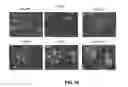 Fig. 37 - Compounds for the treatment of pathologies associated with aging and degenerative disorders