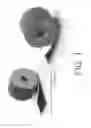 Fig. 02 - Method of Producing and Introducing a Far Infrared Device By Way of Adhesive Tape