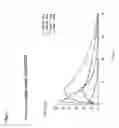 Fig. 02 - PROLONGED RELEASE PHARMACEUTICAL COMPOSITION CONTAINING 3-(3-DIMETHYLAMINO-1-ETHYL-2-METHYL-PROPYL)PHENOL