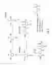 Fig. 09 - Facially Amphiphilic Polymers and Oligomers and Uses Thereof