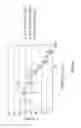 Fig. 15 - Facially Amphiphilic Polymers and Oligomers and Uses Thereof