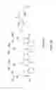 Fig. 18 - Facially Amphiphilic Polymers and Oligomers and Uses Thereof