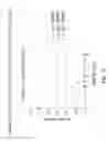 Fig. 19 - Facially Amphiphilic Polymers and Oligomers and Uses Thereof
