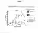 Fig. 03 - Dronedarone for use in leishmaniasis, formulations and associations for use in leishmaniasis
