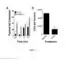 Fig. 06 - Methods and compositions to prevent or treat bacterial infections