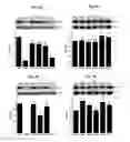 Fig. 09 - Compounds and methods for regulating integrins
