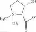 Fig. 22 - Treatment of energy utilization disease