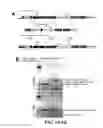 Fig. 02 - Compositions and Methods for Treating Autism Spectrum Disorders