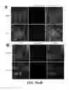 Fig. 06 - Compositions and Methods for Treating Autism Spectrum Disorders