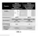 Fig. 07 - Compositions and Methods for Treating Autism Spectrum Disorders