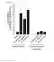 Fig. 06 - Composition for controlling a gut immunity and use thereof