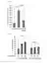 Fig. 19 - Composition for controlling a gut immunity and use thereof