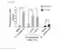 Fig. 32 - Composition for controlling a gut immunity and use thereof