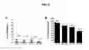 Fig. 06 - Combination therapies for malaria