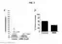 Fig. 07 - Combination therapies for malaria