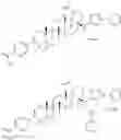 Fig. 304 - COMPOSITIONS HAVING C-17 AND C-3 MODIFIED TRITERPENOIDS WITH HIV MATURATION INHIBITORY ACTIVITY
