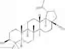 Fig. 411 - COMPOSITIONS HAVING C-17 AND C-3 MODIFIED TRITERPENOIDS WITH HIV MATURATION INHIBITORY ACTIVITY