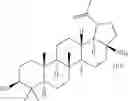 Fig. 412 - COMPOSITIONS HAVING C-17 AND C-3 MODIFIED TRITERPENOIDS WITH HIV MATURATION INHIBITORY ACTIVITY