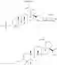Fig. 56 - COMPOSITIONS HAVING C-17 AND C-3 MODIFIED TRITERPENOIDS WITH HIV MATURATION INHIBITORY ACTIVITY