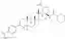 Fig. 90 - COMPOSITIONS HAVING C-17 AND C-3 MODIFIED TRITERPENOIDS WITH HIV MATURATION INHIBITORY ACTIVITY