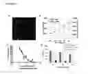 Fig. 04 - COMPOSITIONS AND METHODS FOR THE TREATMENT OF PROGRESSIVE MULTIFOCAL LEUKOENCEPHALOPATHY (PML)