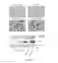 Fig. 19 - Nitrated lipids and methods of making and using thereof