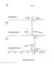 Fig. 28 - Nitrated lipids and methods of making and using thereof