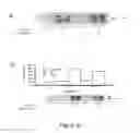 Fig. 31 - Nitrated lipids and methods of making and using thereof