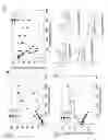 Fig. 06 - HYBRID SCFA-HYDROXYL-DERIVATIZED MONOSACCHARIDES, METHODS OF SYNTHESIS, AND METHODS OF TREATING DISORDERS