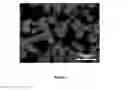 Fig. 08 - Nucleic acid particles, methods and use thereof