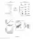 Fig. 21 - Nucleic acid particles, methods and use thereof