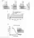 Fig. 09 - Pappalysin Regulator