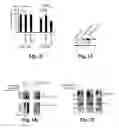 Fig. 04 - Compositions and methods for treating alzheimer's disease and other tauopathies