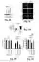 Fig. 06 - Compositions and methods for treating alzheimer's disease and other tauopathies