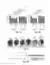 Fig. 15 - Compositions and methods for treating alzheimer's disease and other tauopathies