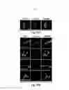 Fig. 27 - Compositions and methods for treating alzheimer's disease and other tauopathies