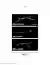 Fig. 31 - Compositions and methods for treating alzheimer's disease and other tauopathies