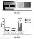 Fig. 37 - Compositions and methods for treating alzheimer's disease and other tauopathies