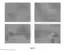 Fig. 05 - Pharmaceutical composition for improving health, cure abnormalities and degenerative disease, achieve anti-aging effect of therapy and therapeutic effect on mammals and method thereof