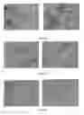 Fig. 41 - Pharmaceutical composition for improving health, cure abnormalities and degenerative disease, achieve anti-aging effect of therapy and therapeutic effect on mammals and method thereof