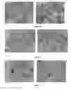 Fig. 42 - Pharmaceutical composition for improving health, cure abnormalities and degenerative disease, achieve anti-aging effect of therapy and therapeutic effect on mammals and method thereof