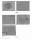 Fig. 44 - Pharmaceutical composition for improving health, cure abnormalities and degenerative disease, achieve anti-aging effect of therapy and therapeutic effect on mammals and method thereof