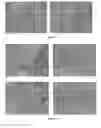 Fig. 45 - Pharmaceutical composition for improving health, cure abnormalities and degenerative disease, achieve anti-aging effect of therapy and therapeutic effect on mammals and method thereof