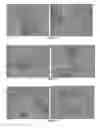 Fig. 57 - Pharmaceutical composition for improving health, cure abnormalities and degenerative disease, achieve anti-aging effect of therapy and therapeutic effect on mammals and method thereof